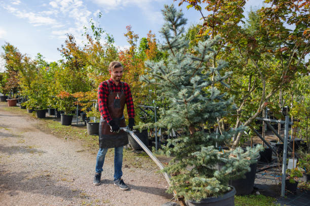 Wyoming, DE Tree Care  Company